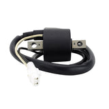 RMStator Ignition Coil RM06067