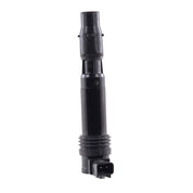 RMStator Ignition Coil RM06083