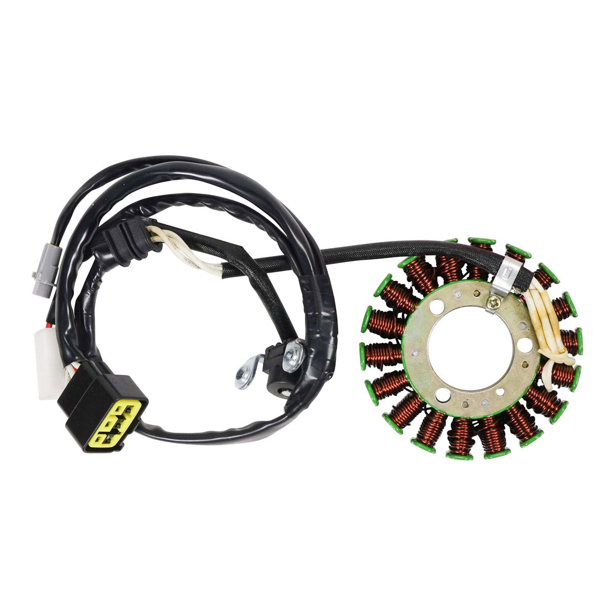 RMStator Generator Stator Kit With Cover Gasket RM22612