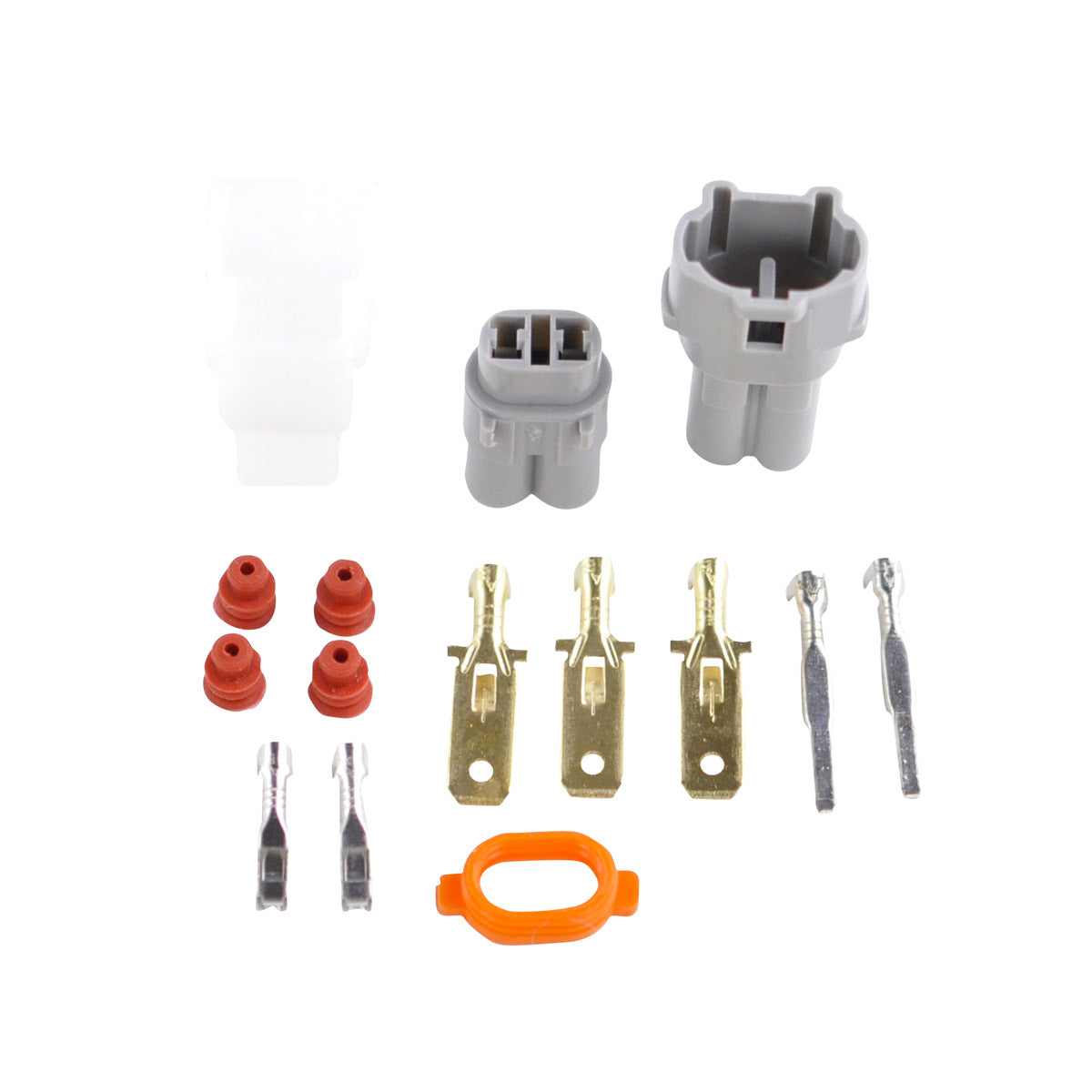 RMStator Stator Kit With Ignition Coil RM22810