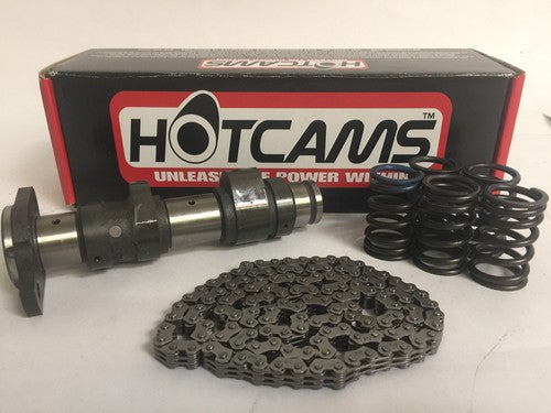 Raptor 660 Stage 2 TWO Hotcam Hot Cam Kibblewhite Valve Springs Kit Chain