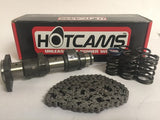 Raptor 660 Stage 2 TWO Hotcam Hot Cam Kibblewhite Valve Springs Kit Chain