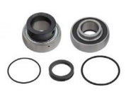 SPI OEM Replacement Chain Case Bearing Kit SM-03154