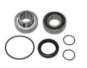 SPI OEM Replacement Chain Case Bearing Kit SM-03176