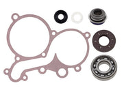Spi Water Pump Repair Kit  SM-10104