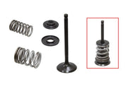 Psychic Products Psychic Intake Valve Kit XU-09518IK