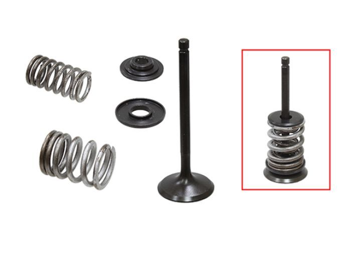 Psychic Products Psychic Intake Valve Kit XU-09518IK