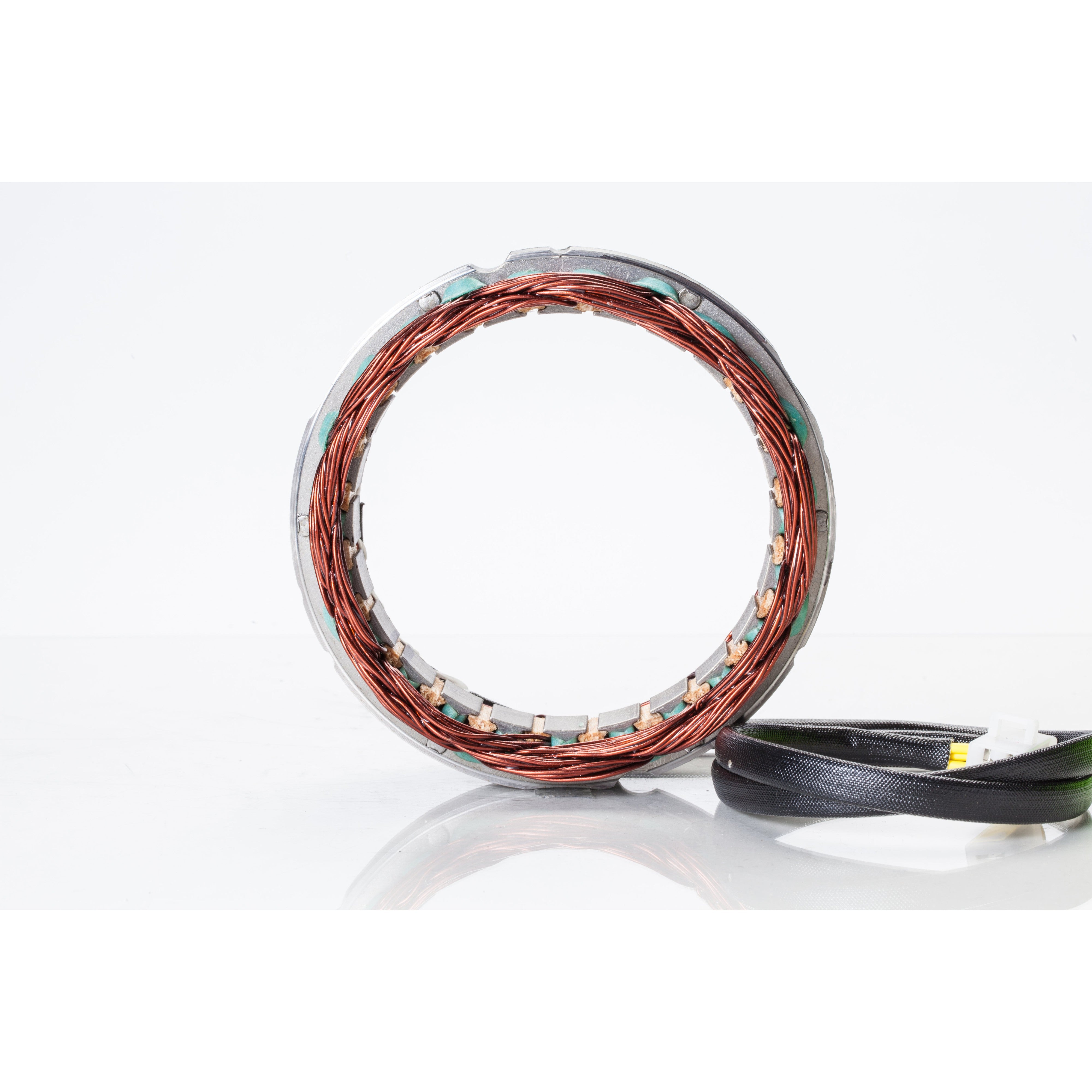 Ricks Stator 21-420