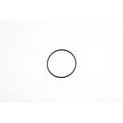 WSM Earth Plate O-Ring for Yamaha 1050 / 1100 / 1800 05-23 008-689-04