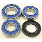 Kit de cojinetes de rueda trasera All Balls 25-1706