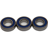 Kit de cojinetes de rueda trasera All Balls 25-1348