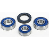 Kit de cojinetes de rueda trasera All Balls 25-1599