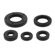 QuadBoss Oil Seal Set - 822990
