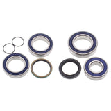 Lower Drive & Upper Jack Shaft Bearing & Seal Kit Summit Everest 800R P-TEC 11