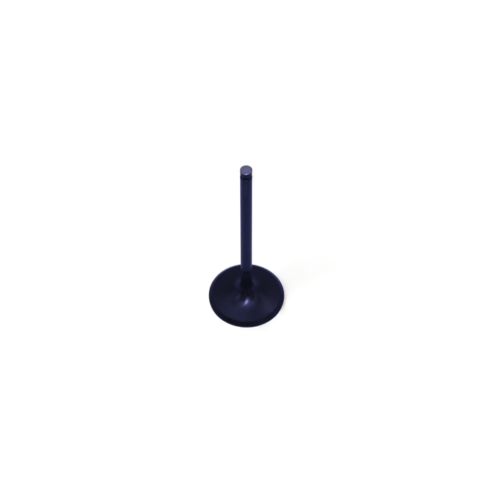 Psychic Intake Engine Valve XU-09531I