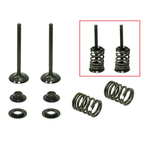 Psychic Products Psychic Valve Kit- Intake XU-09558IK