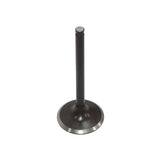 Exhaust Valve, Racing XU-09561E