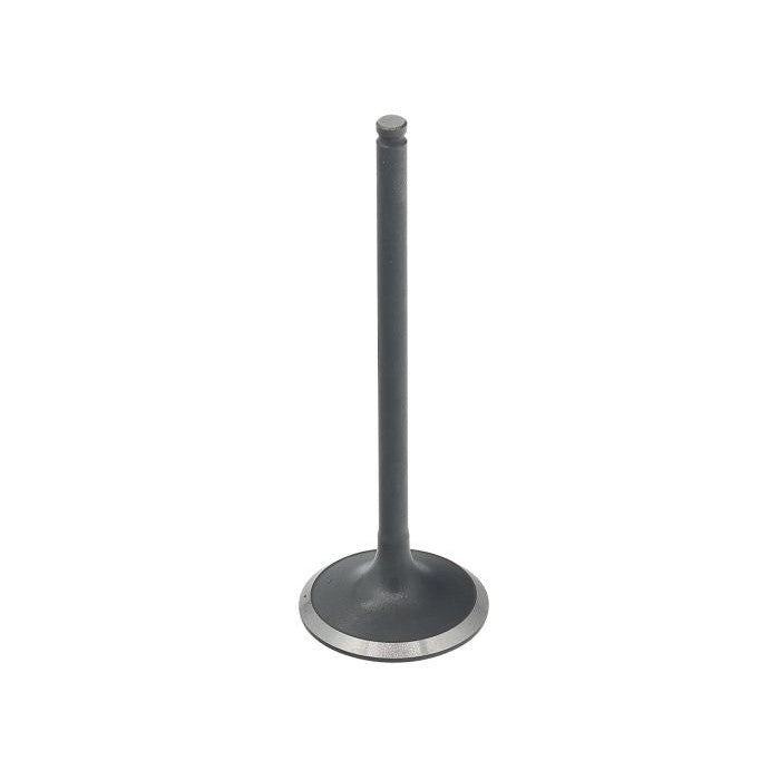 Intake Valve XU-09508I-1