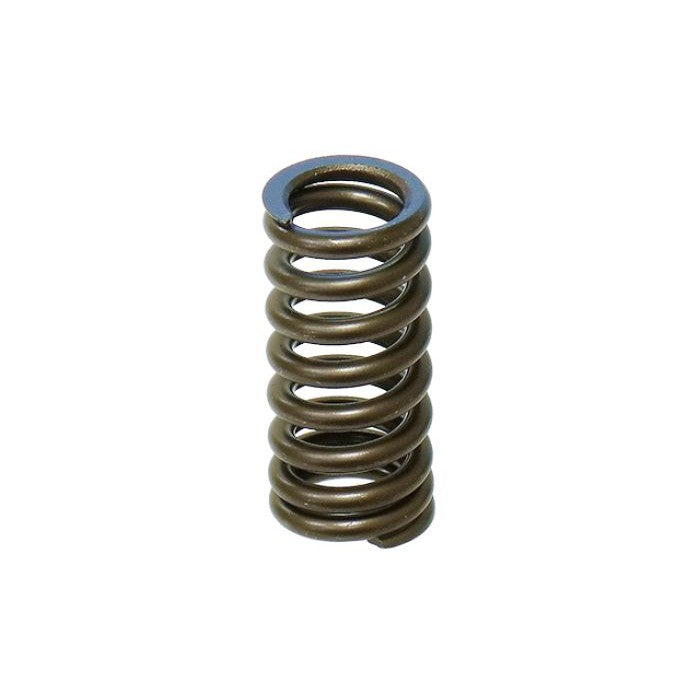 Intake Valve Spring XU-09532-1IS