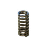Intake Valve Spring XU-09532-1IS