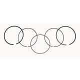 WSM Piston Rings For Honda 420 TRX 07-23 .25mm Over 51-231-04