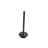 Válvula de admisión WSM para Yamaha 115 HP 4 tiempos 14-21 120-262