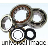 All Balls Crankshaft Bearing Kit 24-1126