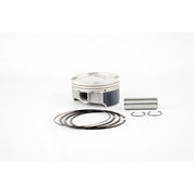 WSM Piston Kit Platinum Standard - 010-861PK