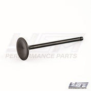 WSM Exhaust Valve for Yamaha 150 Hp 4-Stroke 11-21 120-222