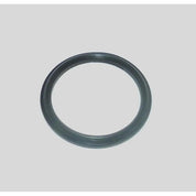 WSM Injector O-Ring for Polaris 1200 Genesis / MSX 140 03-04 008-667