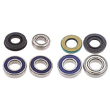 Lower Drive Shaft & Upper Jack Shaft Bearing & Seal Kit LEGEND 380 F 2002-2004