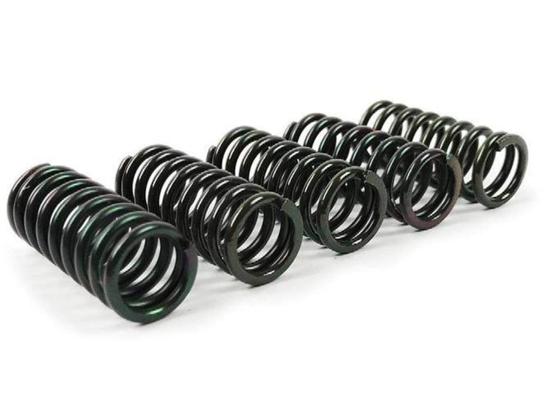Wiseco Clutch Spring Kit CSK006