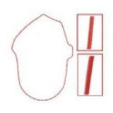 SPI Chaincase Gasket SM-03227