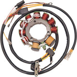 Dual Coil Stator for Polaris Scrambler 500 2x4 1997-2000 Ricks