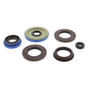 QuadBoss Oil Seal Set - 822198