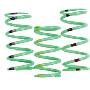 Team 210210-001 Arctic Cat Primary Clutch Spring Lime Green/yellow