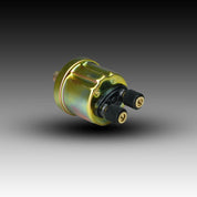 Intellitronix Oil Pressure Sending Unit S8868 1/8" NPT 0-100 PSI - Gold Tone