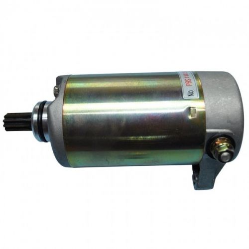 Starter Motor for Suzuki LT300E 2WD 1988-1989 Ricks