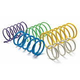 Epi SZ10 Erlandson Clutch Spring ,natural