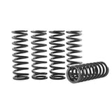Hinson Clutch Spring Kit High Temp - CS330-5-0509