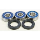 Kit de cojinetes de rueda trasera All Balls 25-1755