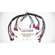 Intellitronix 10 Circuit Universal Wire Harness - Multi