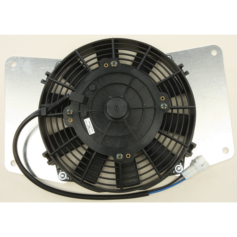 3e6b-58c65fcb53ddf.jpg