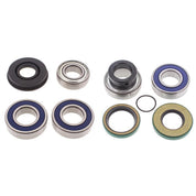 Lower Drive Shaft & Upper Jack Shaft Bearing & Seal Kit Formula Deluxe 600 00-01
