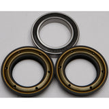 NEW ALL BALLS - 25-1365 - Wheel Bearing and Seal Kit