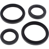 All Balls Rear Differential Seal Kit 25-2050-5