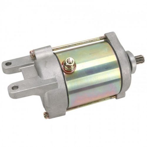 Starter Motor Can-Am DS250 CE 2006-2007 Ricks