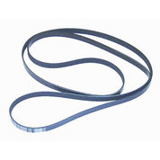 WSM Serpentine Belt for Mercruiser 830-300