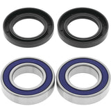 QuadBoss Lower Steering Bearing Kit - 53251395