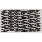 Hinson Clutch Spring Kit Yellow High Temp - CS216-6-0315